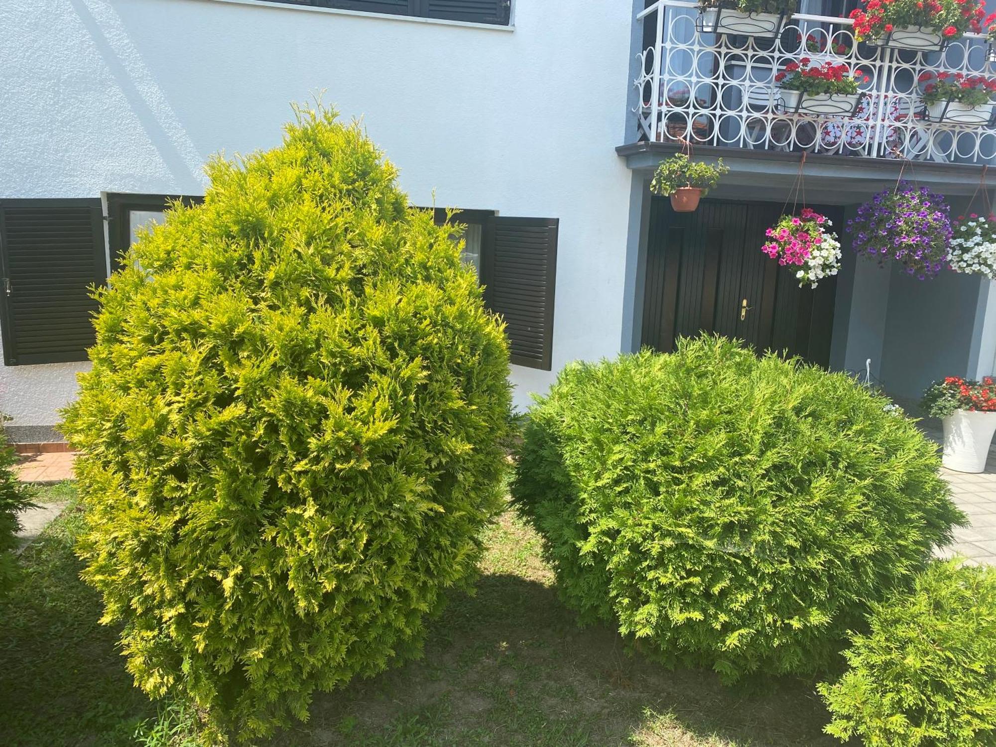 Apartment Mia Vukovar